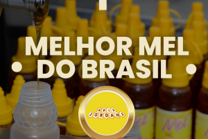 MEL APIS JORDANS É ELEITO COMO O MELHOR MEL DO BRASIL MEL APIS JORDANS É ELEITO COMO O MELHOR MEL DO BRASIL